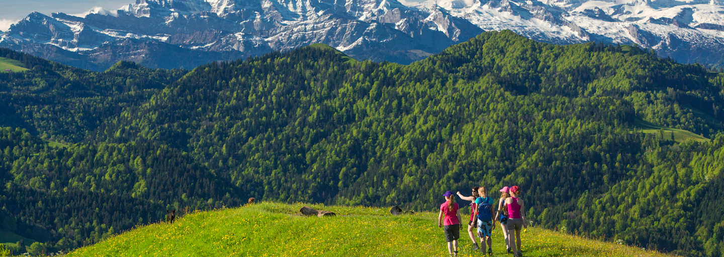 Aussichtsreiches Wandern auf dem Hörnli (1.133 m) vor dem Panorama der Appenzeller Alpen