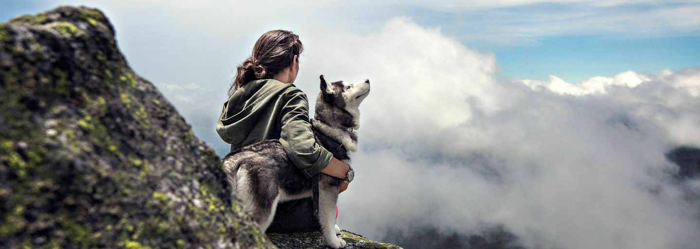 Wandern mit Hund am Berg