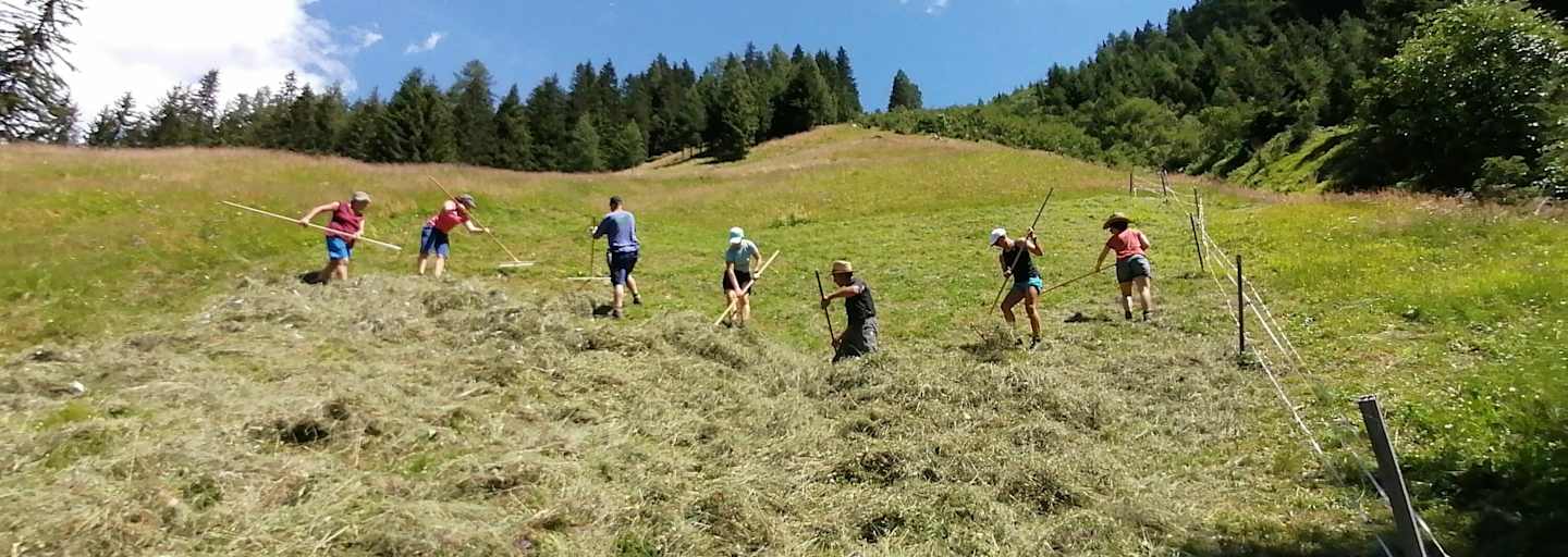 Menschen machen auf einer Bergwiese Heu