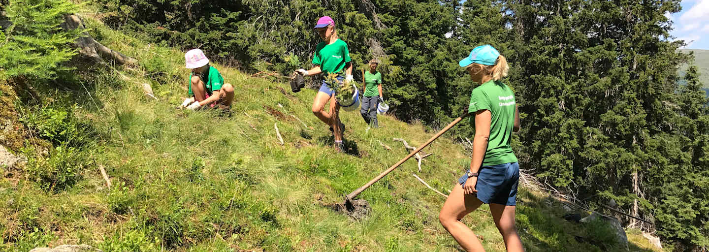 Bergwaldprojekt Obernberg