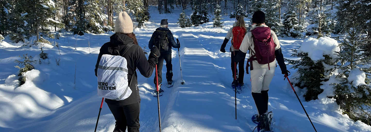 Eine Tour wie im Bilderbuch: Mit den Schneeschuhen durchs Hochmoor bei Wallgau