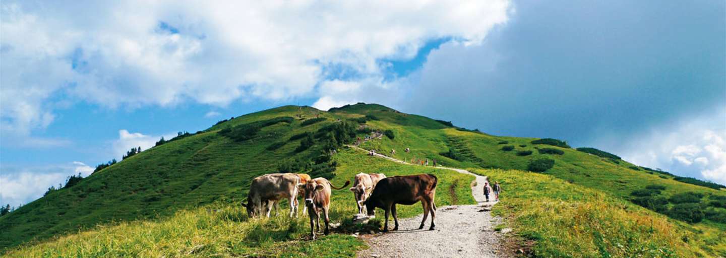 Wandern in den Allgäuer Alpen: Aufs Fellhorn in Vorarlberg