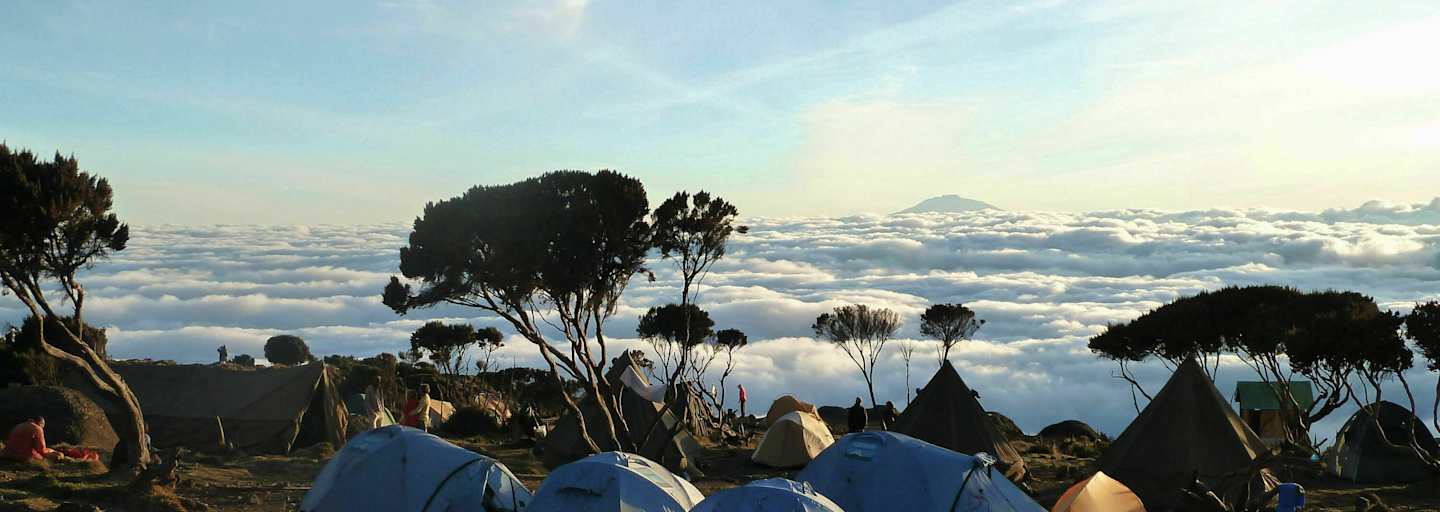 Kilimandscharo: Am Shira-Camp II