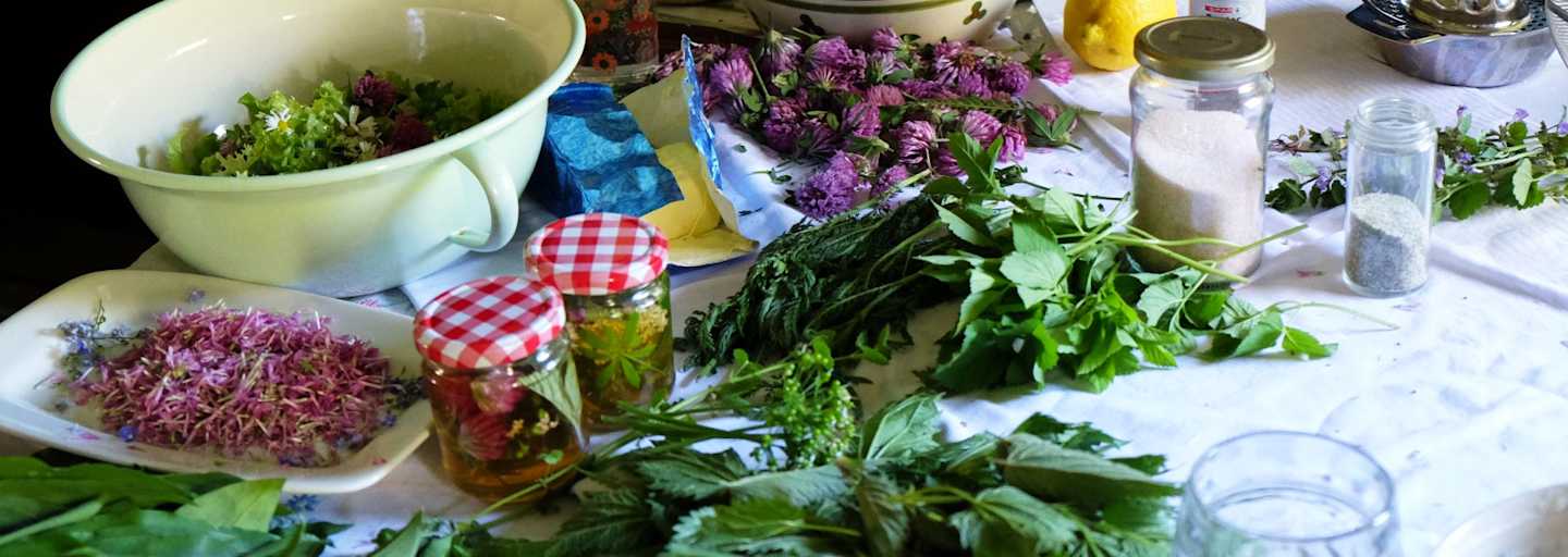 Heimische Kräuter