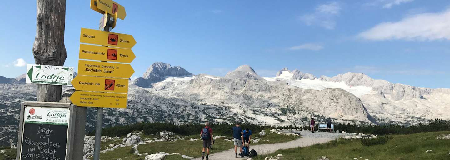 Am Krippenstein mit Blick auf den Dachsteingletscher.