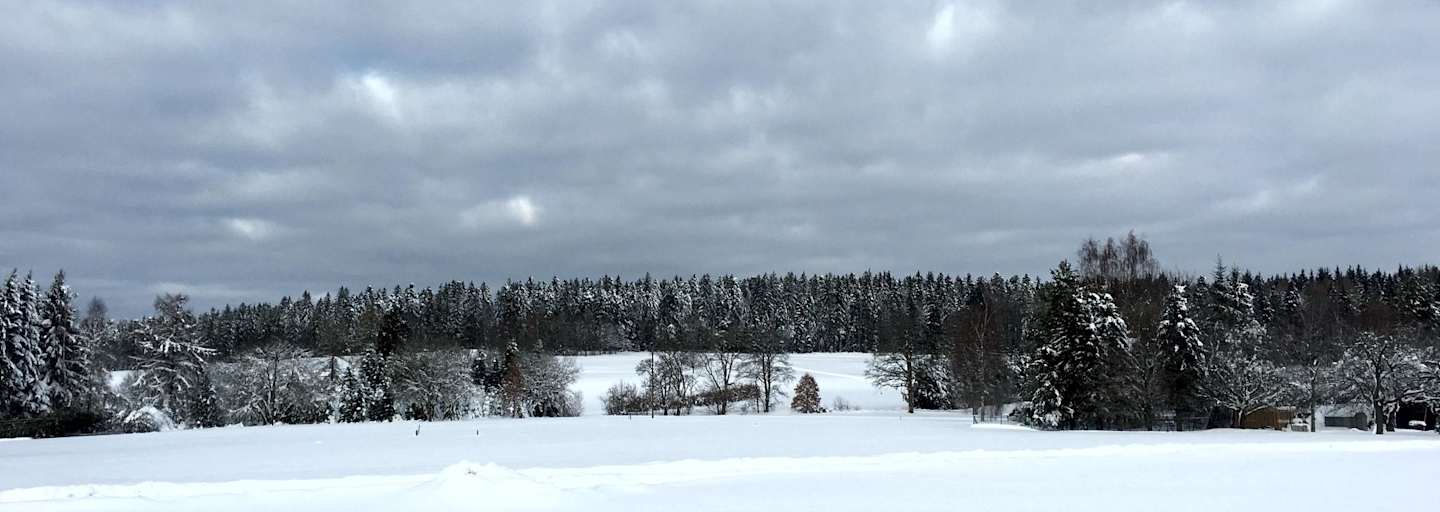 Loßburg Büchenbergspur - Büchenberg 