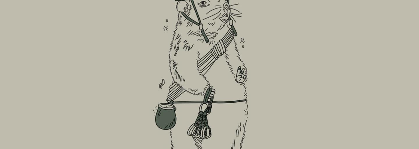 Manfred Steinseehütte