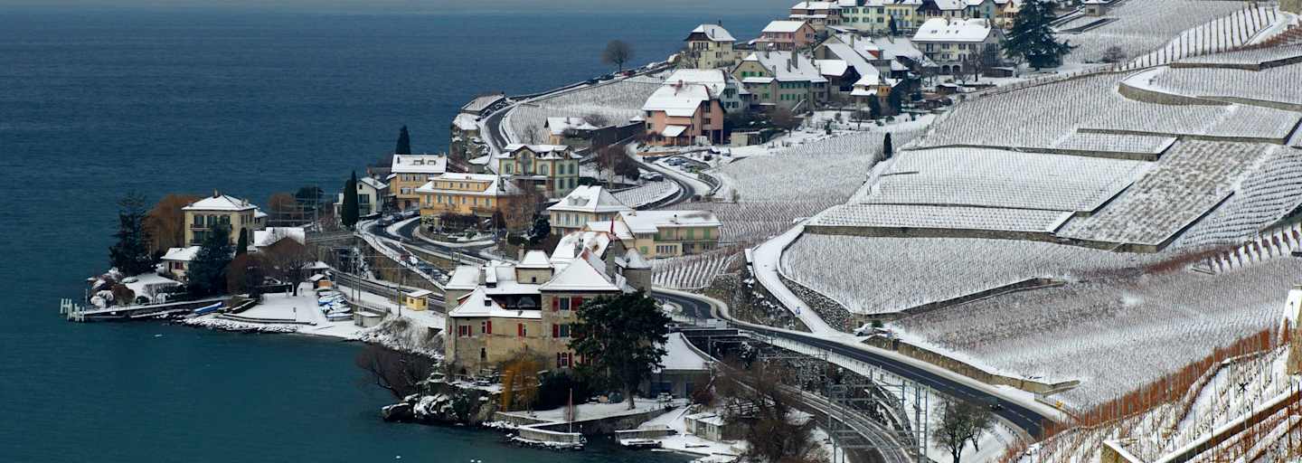 Lavaux Unesco Rivaz Genfersee