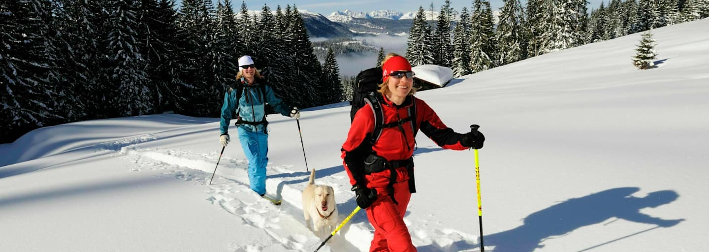 Skitourengeher am Dürrnbachhorn (1.776 m) in den Chiemgauer Alpen an der Grenze von Salzburg und Bayern