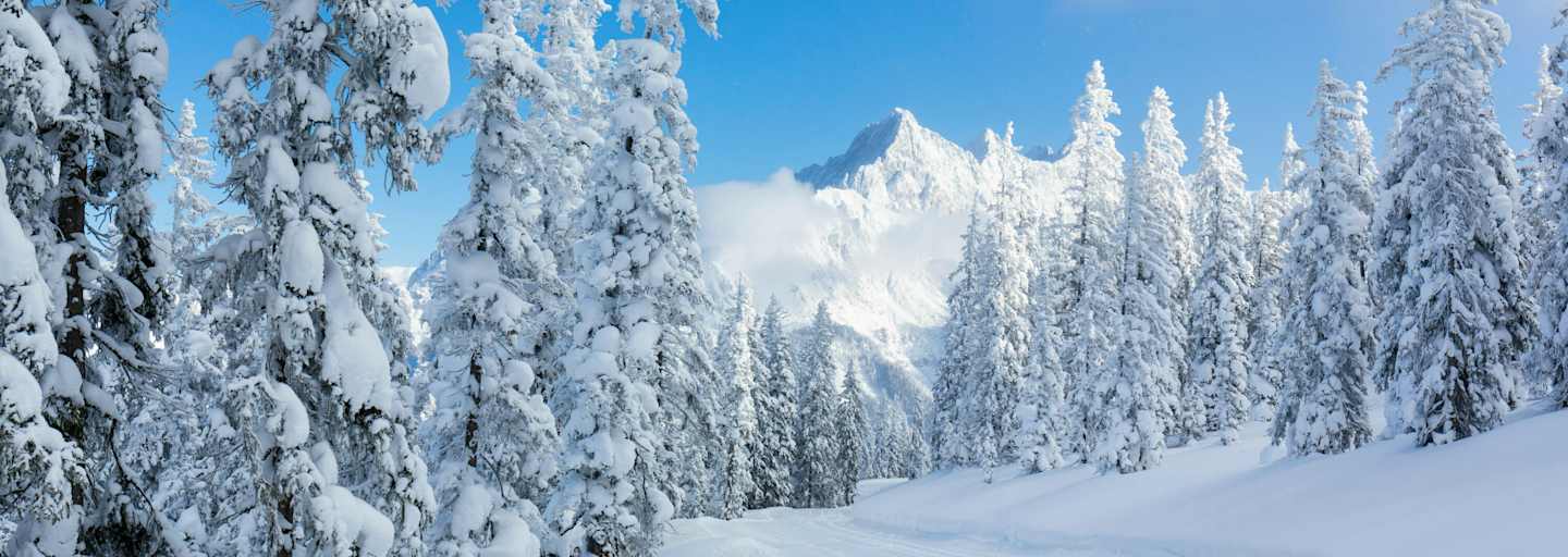 Langlaufen auf dem winterlichen Hochplateau in Ramsau am Dachstein