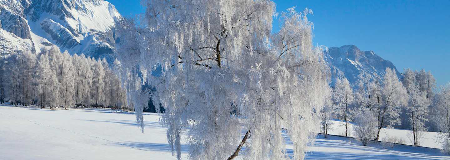 Oberflächenreif: an Bäumen wunderschön anzusehen, doch in der Schneedecke verborgen oft eine Gefahr