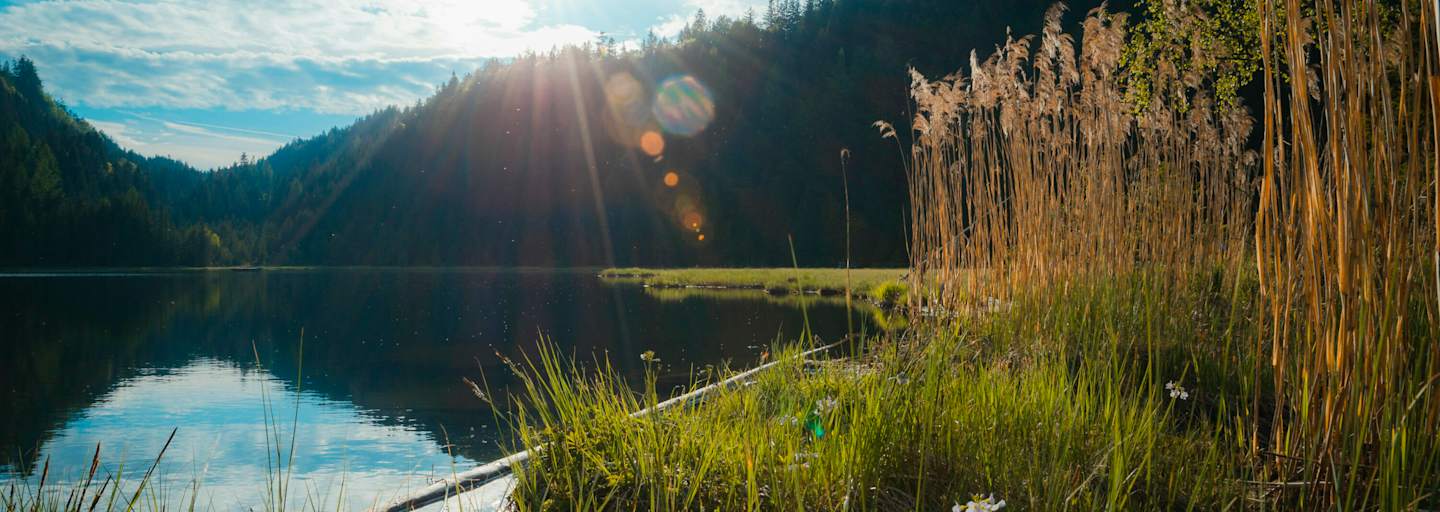 Der Spechtensee bei Wörschachwald im Ennstal, Steiermark