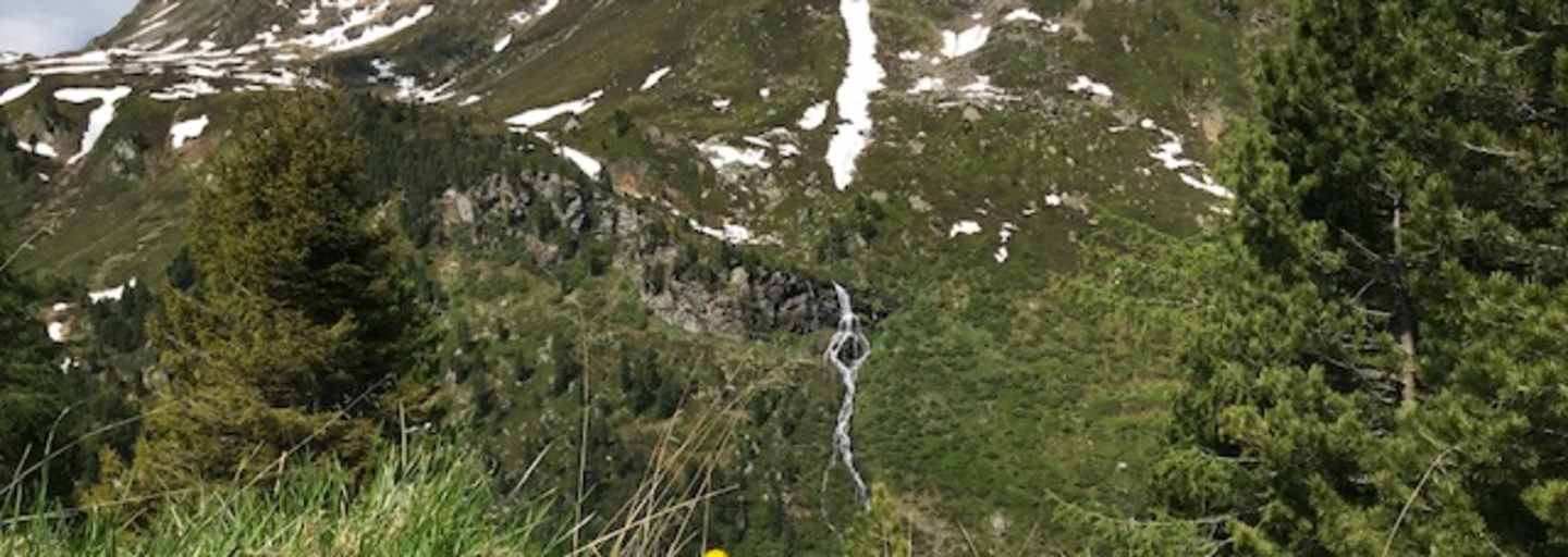 Saubere Berge - unterwegs im Mölstal in den Tuxer Alpen.