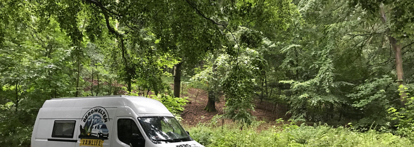 Lauras Schlafplatz im Wald von Møns Klint