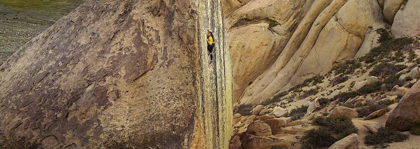 Nina Williams The High Road