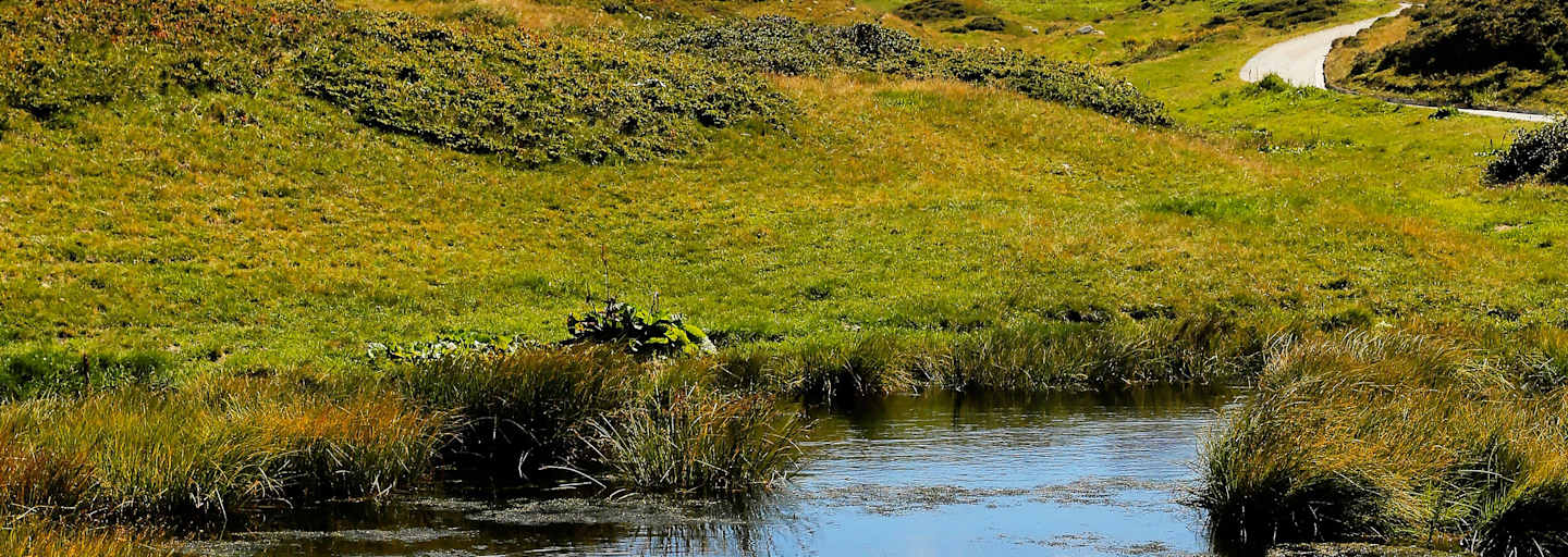 Tessiner Alpen: Entlang des Naturlehrpfads im Pioratal