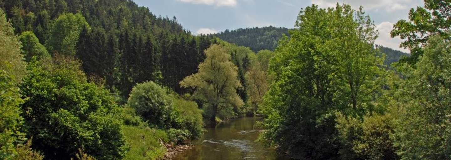 5 Wanderungen im Schwarzwald