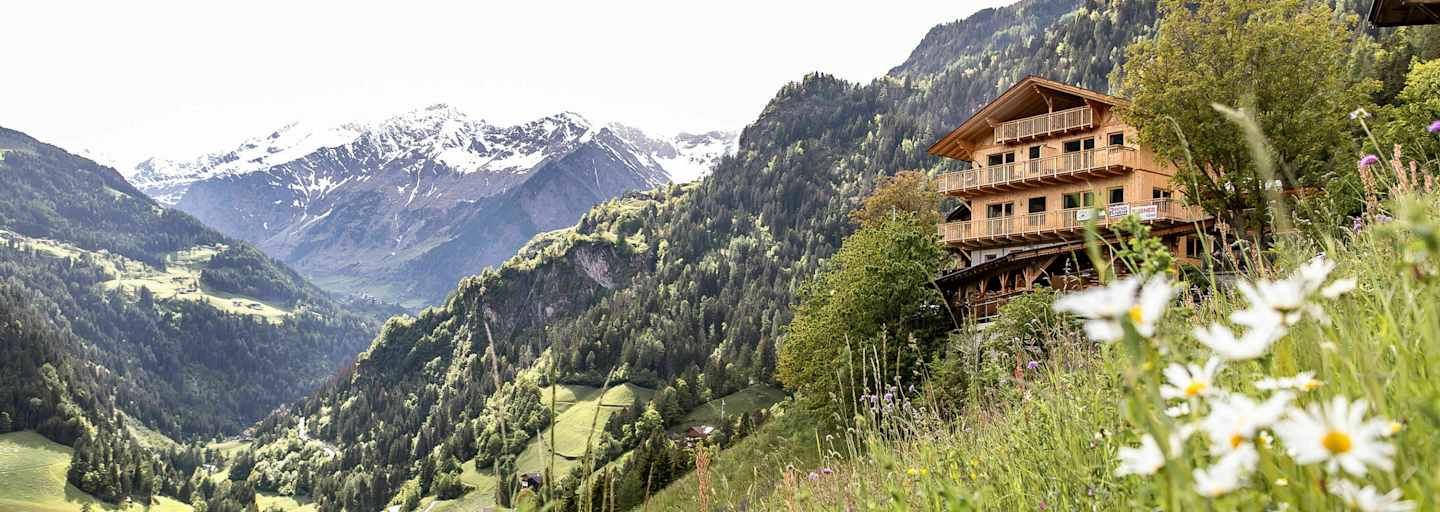 grüne Hänge mit Blumenwiesen, am Hang der Niedersteinhof und im Hintergrund verschneite Gipfel Südtirols