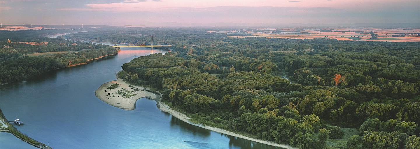 Flugaufnahme über dem Nationalpark Donau-Auen