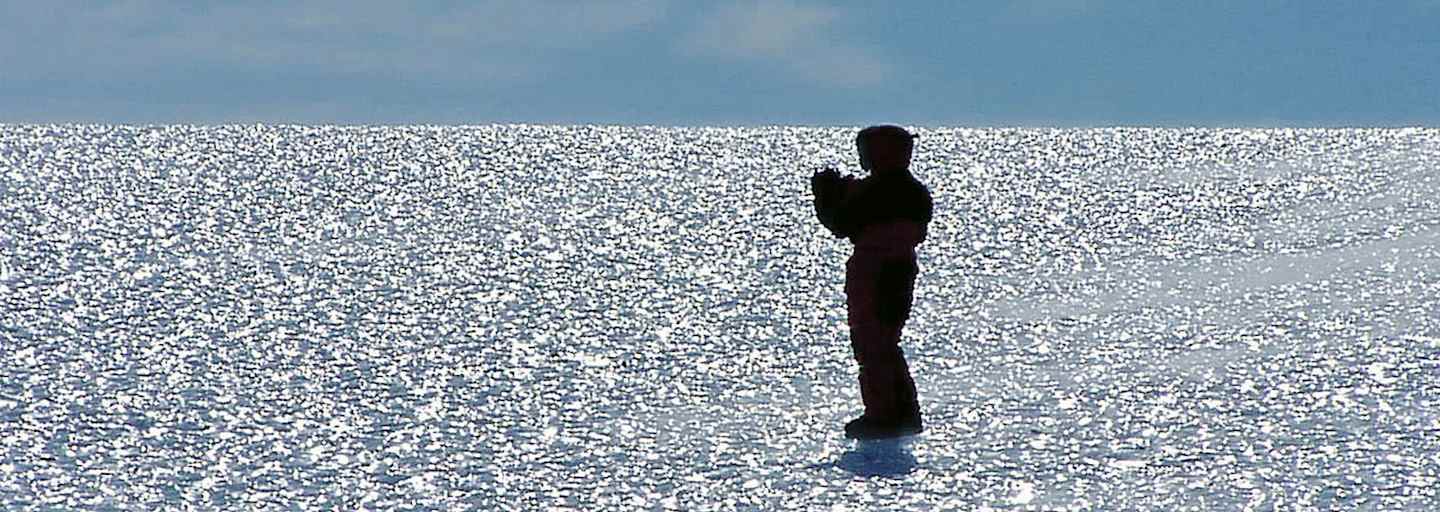 Eis.Leben: Forschungsreise in der Antarktis