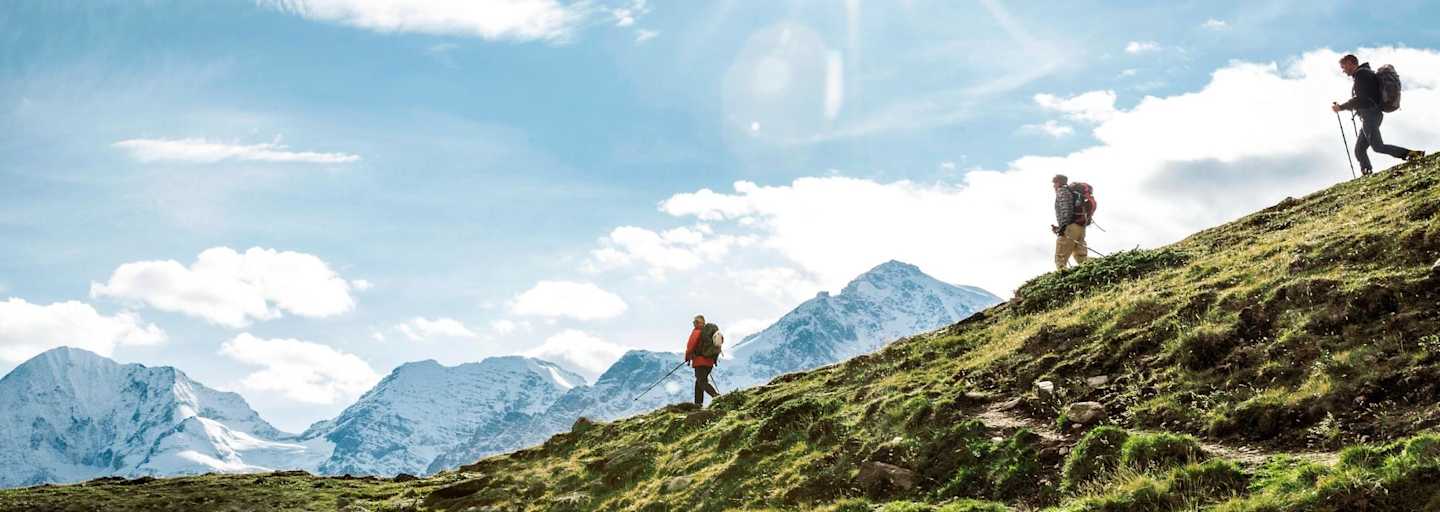 Wanderer auf weiten Almen mit Blick auf den Ortler