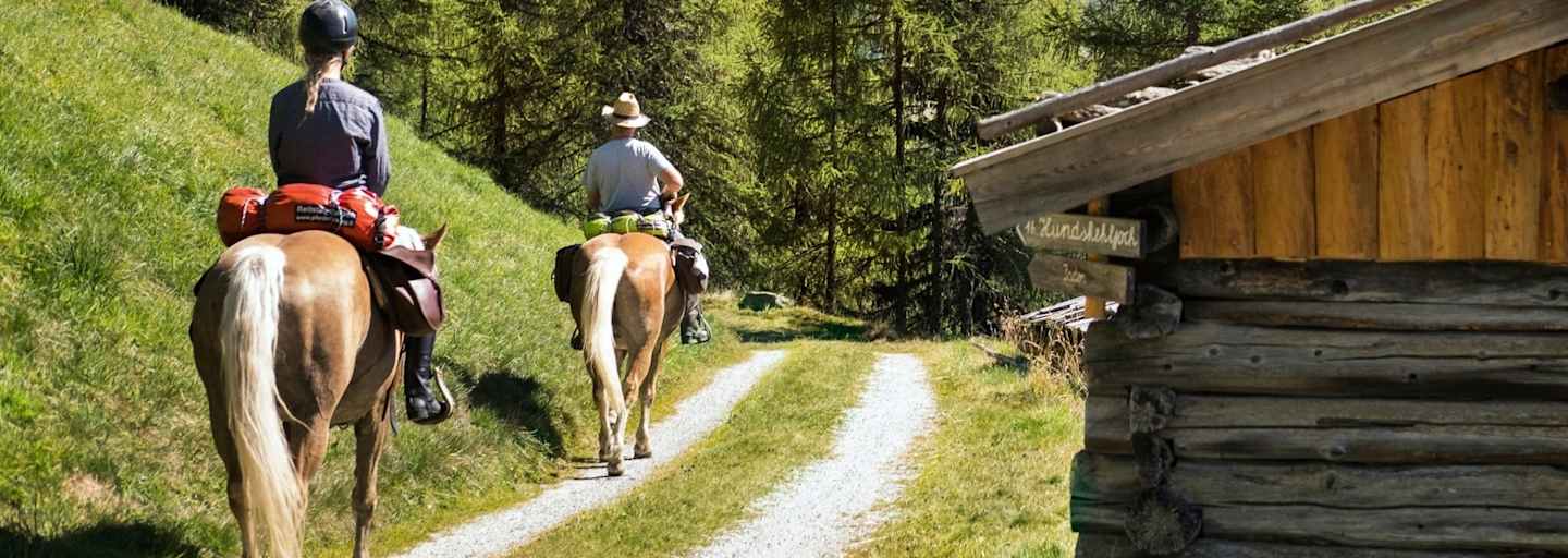 Gemütlich reitet man den Forstweg nach oben