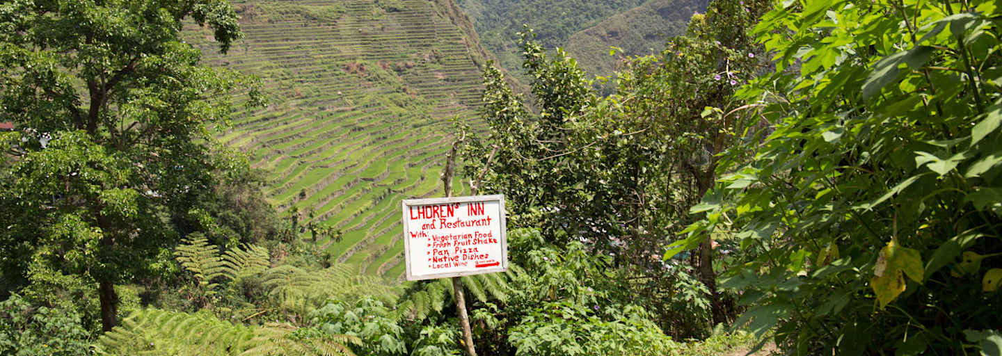 Wandern zwischen Reisfeldern auf den Philippinen