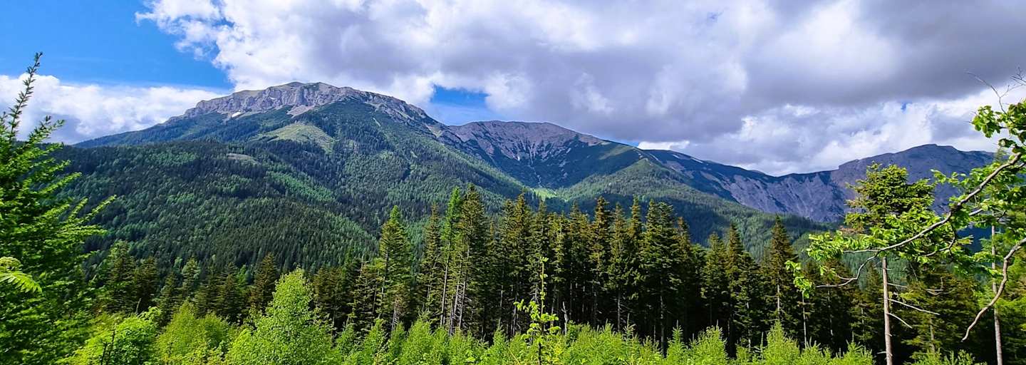 Von der Hohen Scheibe genießt man einen schönen Blick auf die Rax.