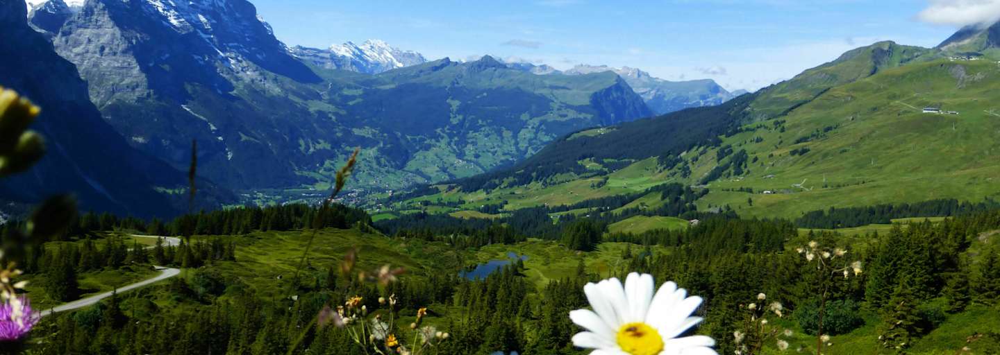 Rundwanderung in der Jungfrau-Region: Durchs Reichenbachtal im Berner Oberland
