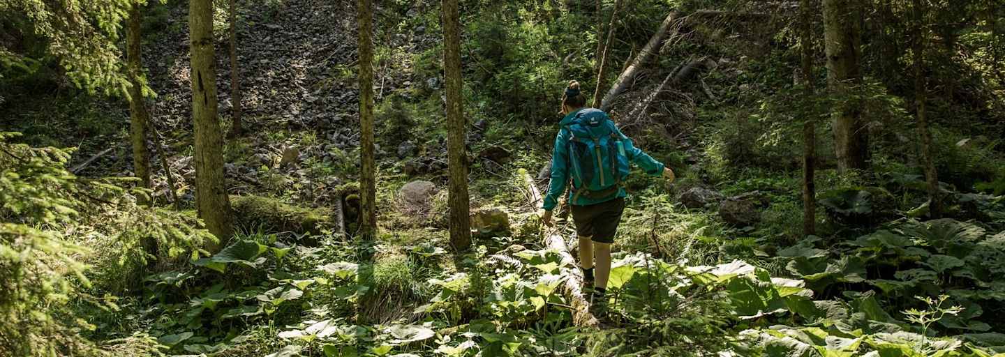 Eine Frau balanciert über einen vermoosten Baumstamm.