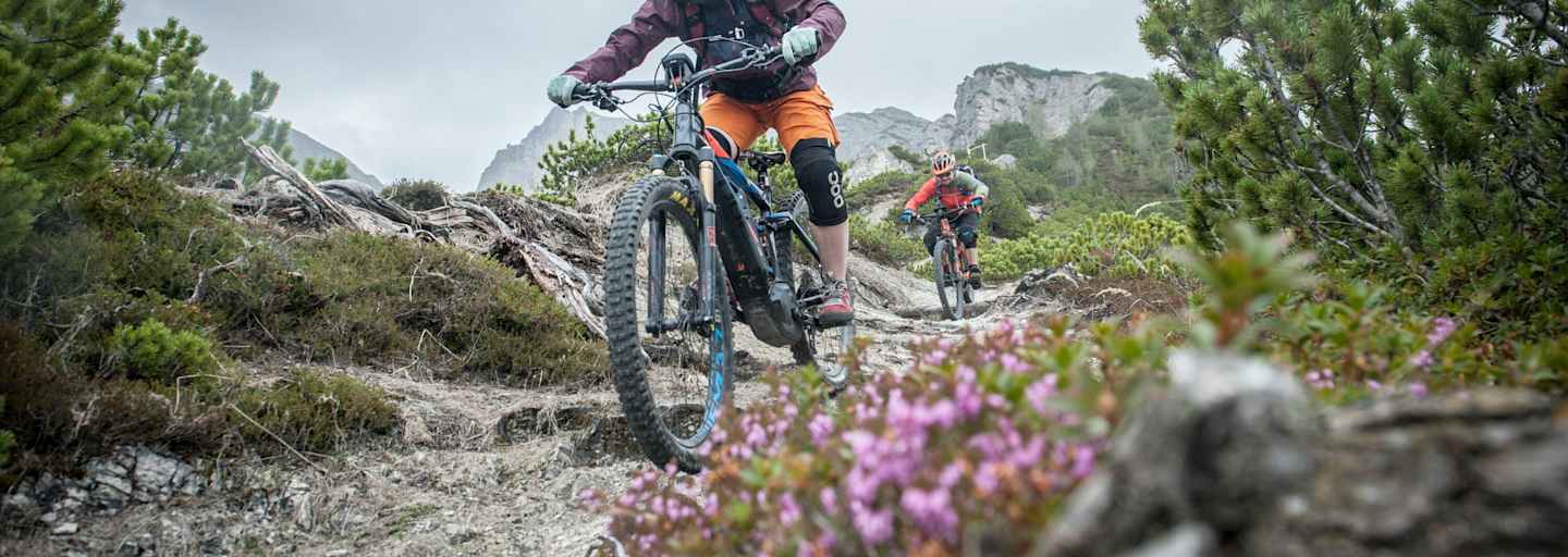 Ein E-Bike stellt vor allem bergab besondere Anforderungen