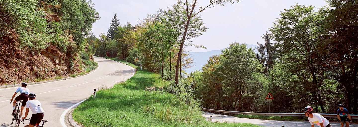 Weite Kehren und ­fießende Kurven: Für die begeisterten Rennradler aus Wien könnte die Straße hinauf zum Seiber-Gipfelplateau ewig weitergehen.