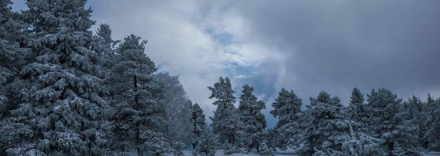 Winterwandern auf der Schwäbischen Alb