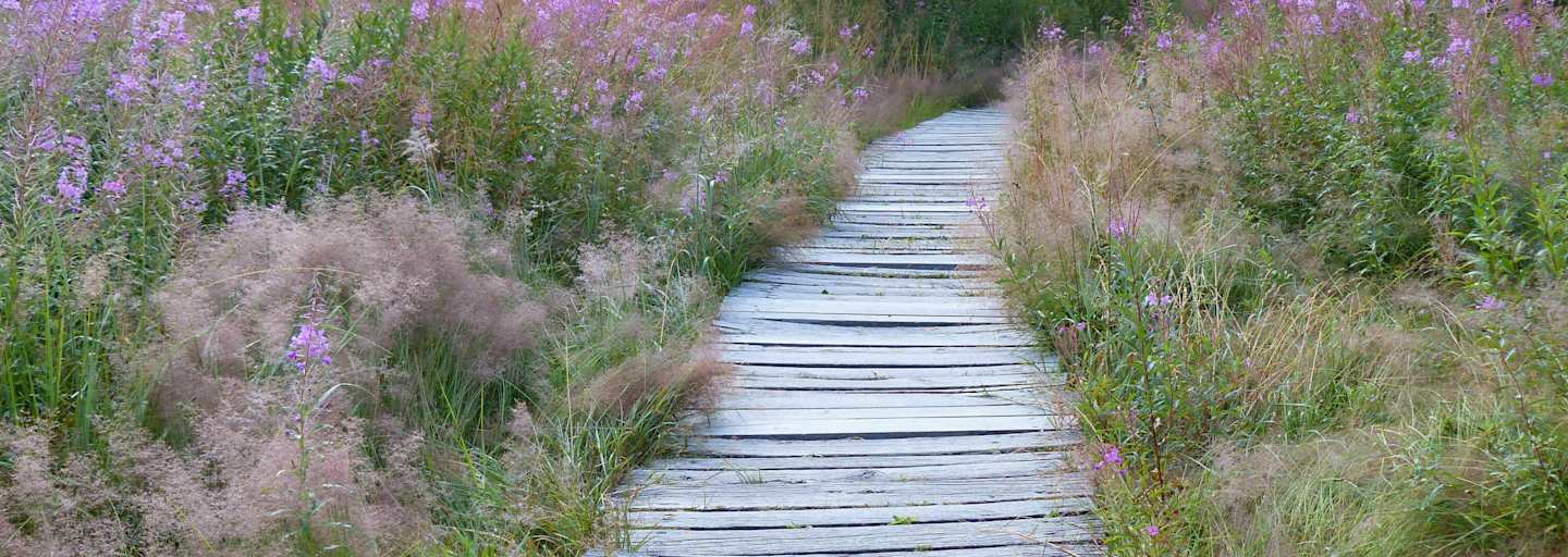 Wandern im Naturpark Bayerische Rhön