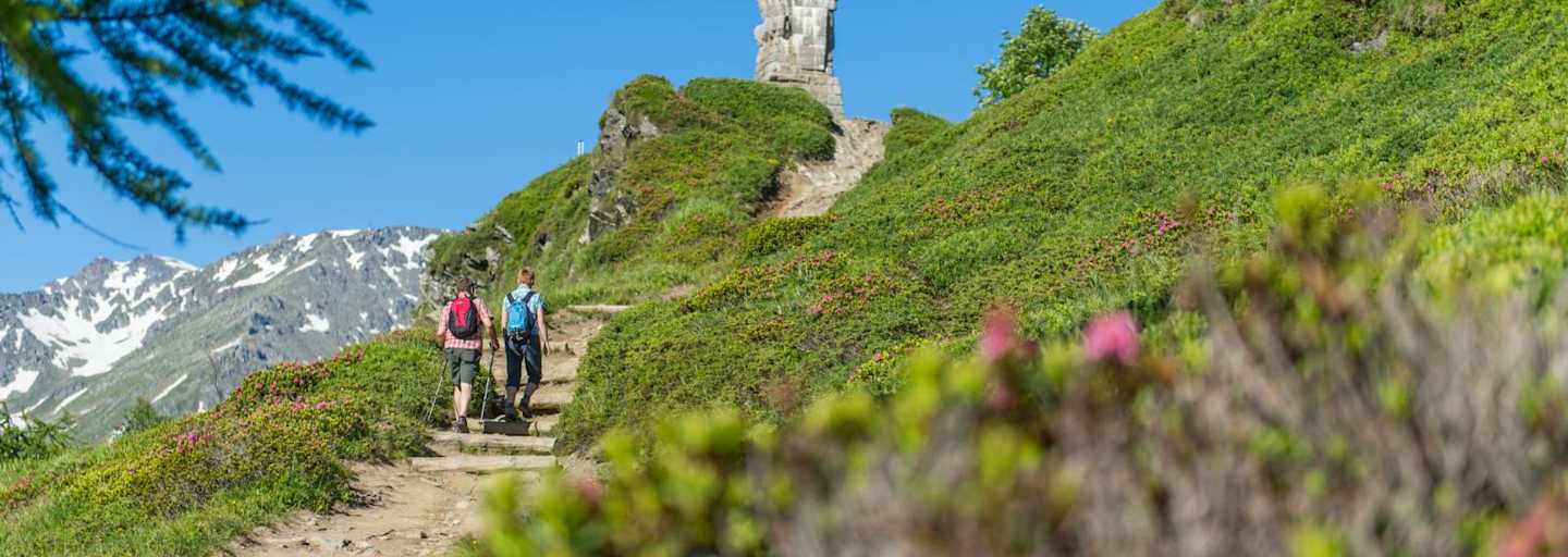 Der steinerne Adler am Stockalperweg