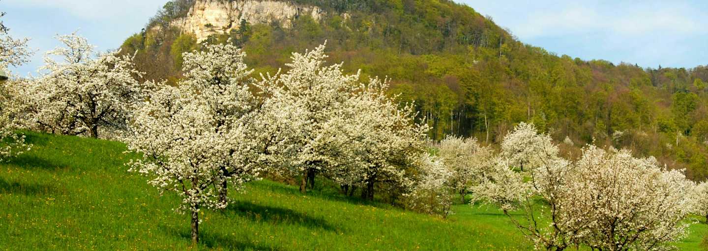 Wandern im Baselland: Sissacherflue