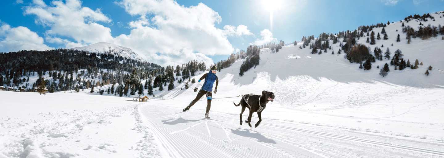 Anna Milazzi und ihr Hund Finn auf der Loipe