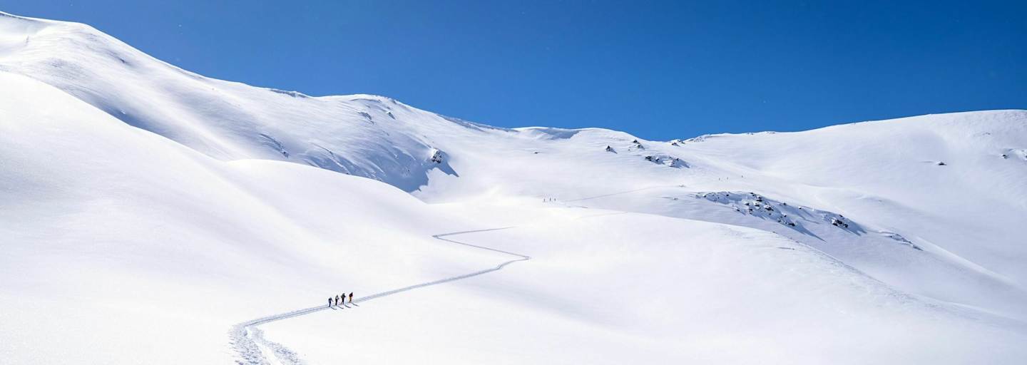 Spur durch die winterliche Landschaft