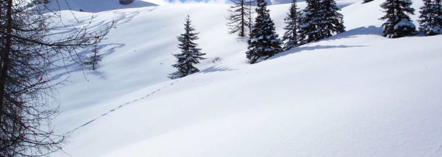 Salzburger Land: Gelände bei Kleinarl