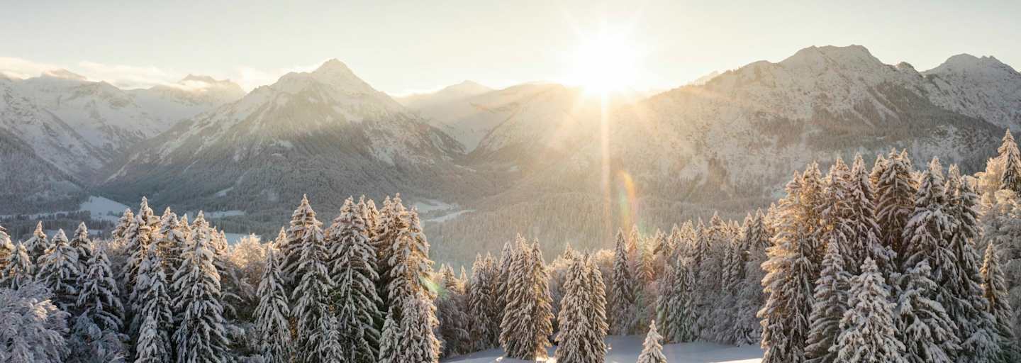 Sonnenuntergang über dem Tannenmeer