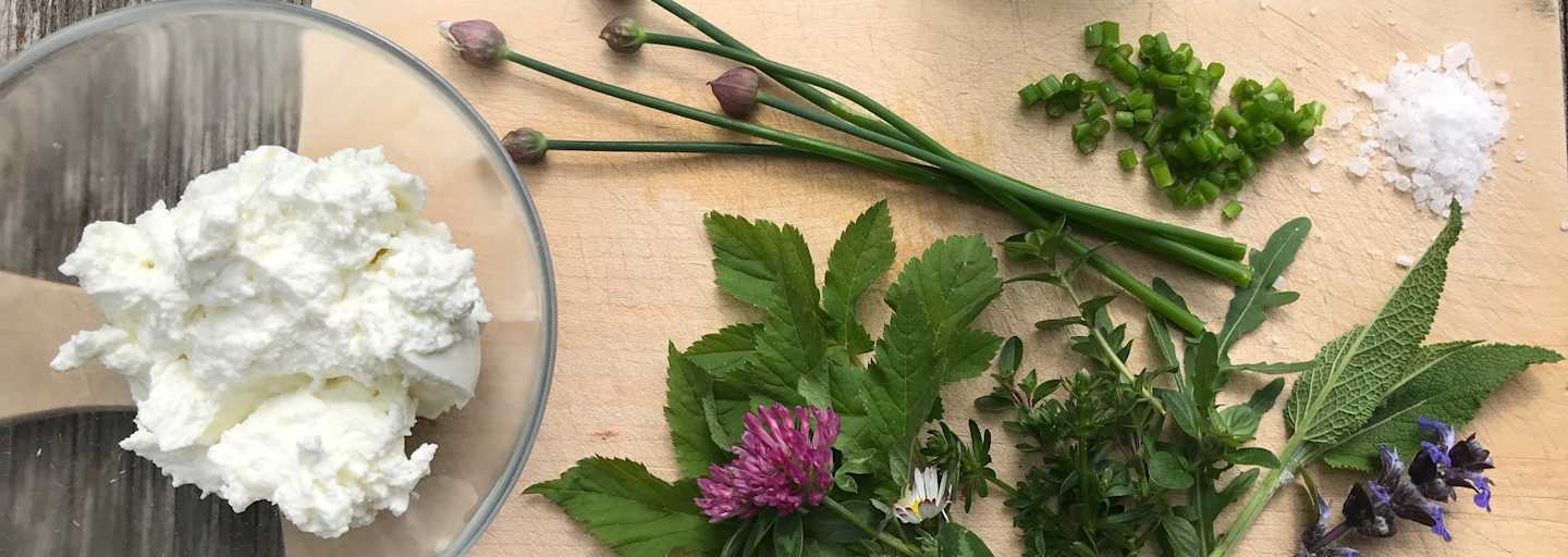 Kochen mit Wildkräutern