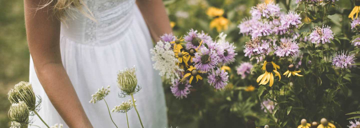 Wilde Wiesenkräuter und ihre heilende Wirkung