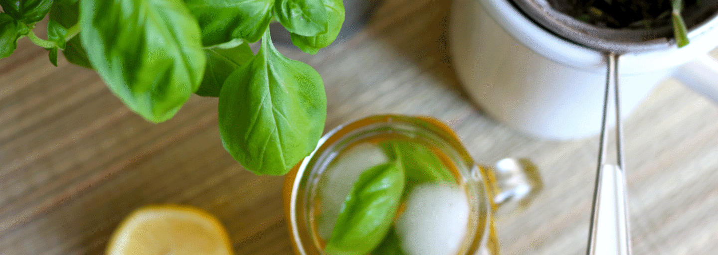 Selbstgemachter Eistee mit frischen Kräutern