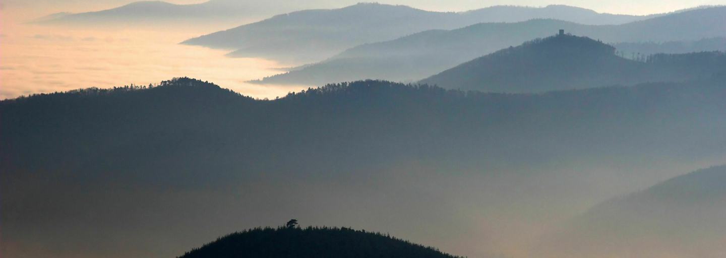 Vogesen in Frankreich