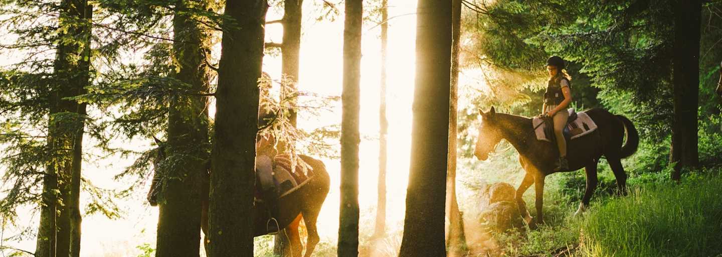 Reiten am Morgen durch den Wald