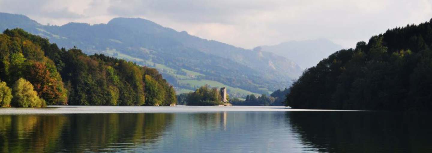 Blick auf den Lac de la Gruyère im Kanton Freiburg
