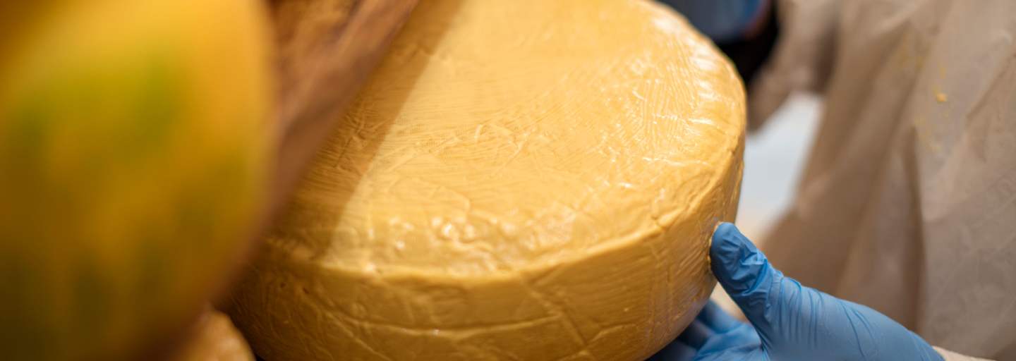 Beliebte Delikatesse: Alpkäse