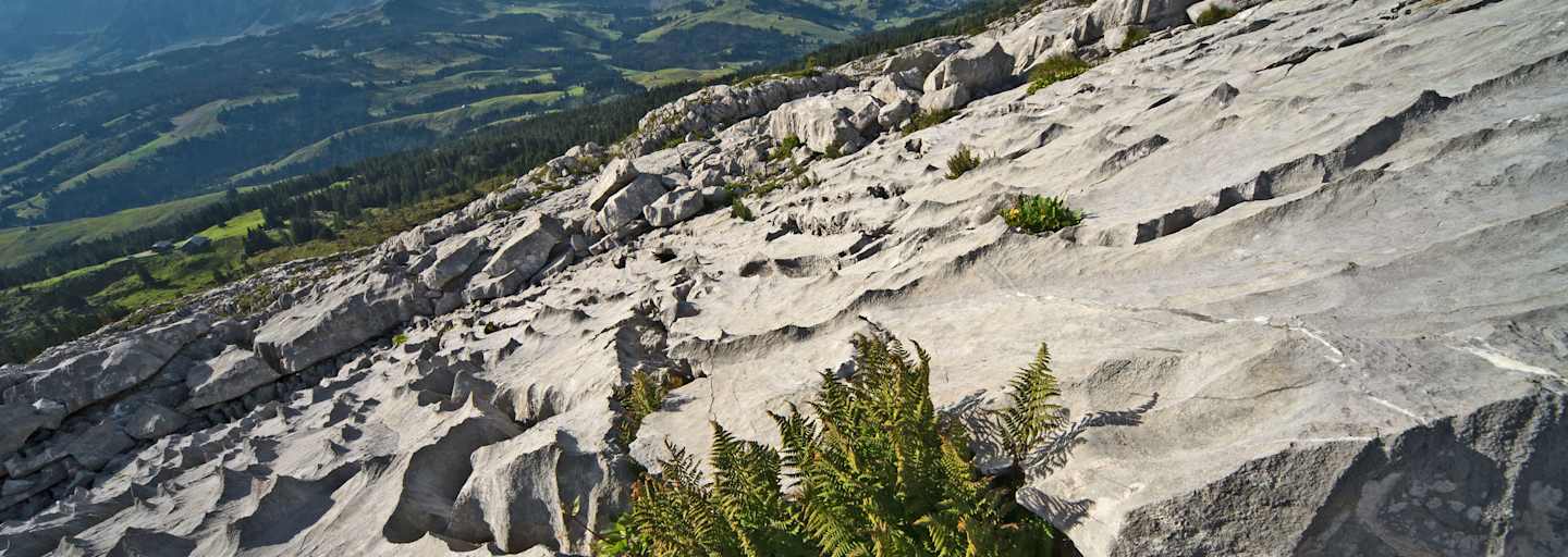 Biosphäre Entlebuch 