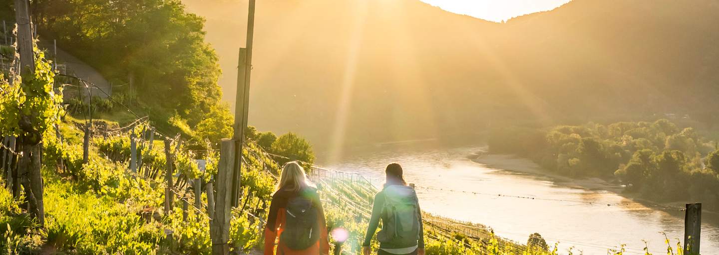 Durch die Weinrieden in Weißenkirchen