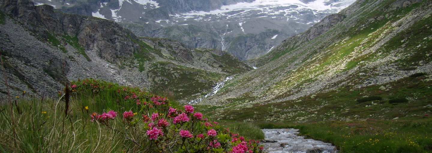 Ruhegebiet Hochgebirgs-Naturpark Zillertaler Alpen